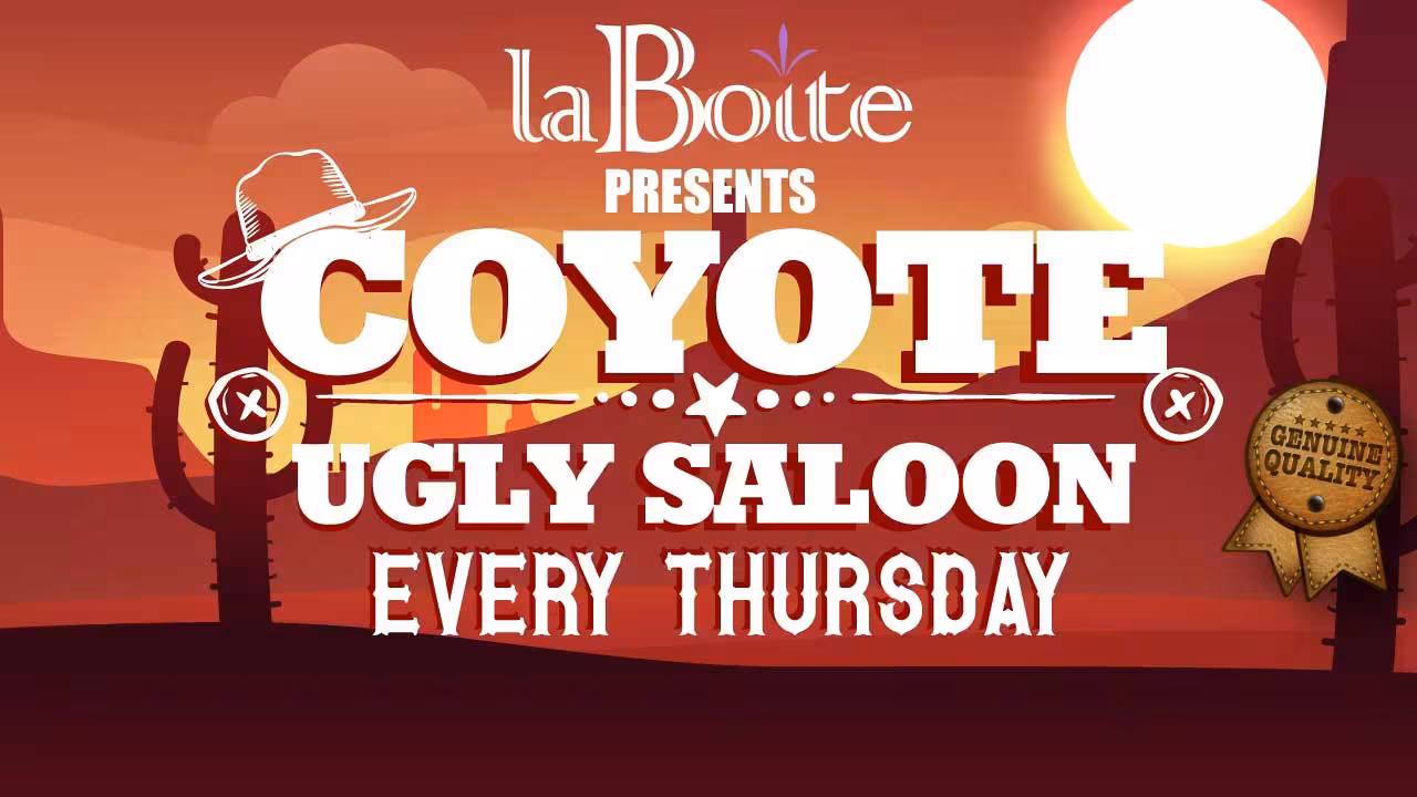 Coyote Ugly Saloon - La Boîte