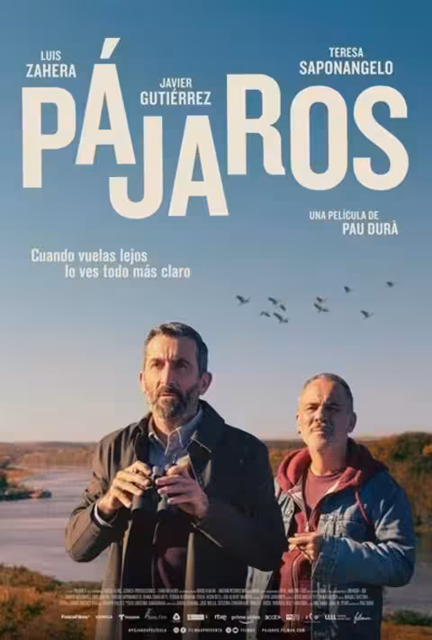 Rivoli Palma, Pajaros 18/04