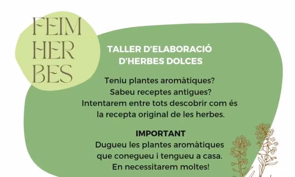 Buger, Taller d