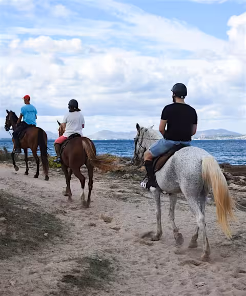 Explore with One hour Horse Riding in Alcudia, with Click Mallorca