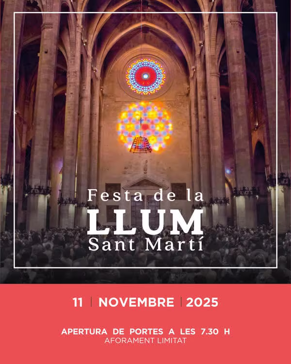 The Light Festival (La Seu) 