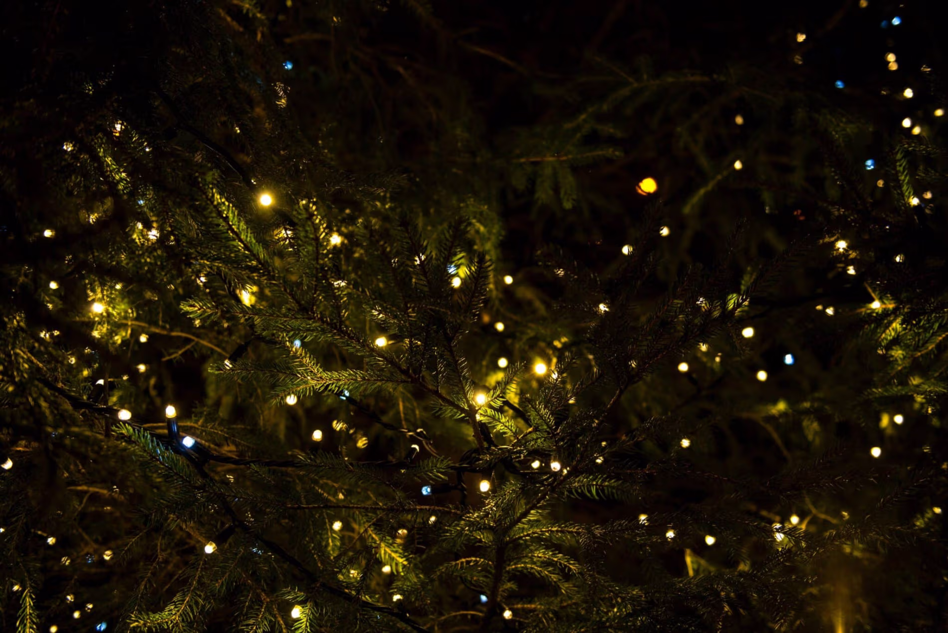 Christmas across Mallorca
