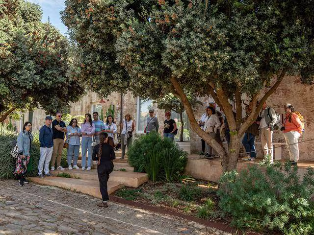 Visita guiada a l'exposició